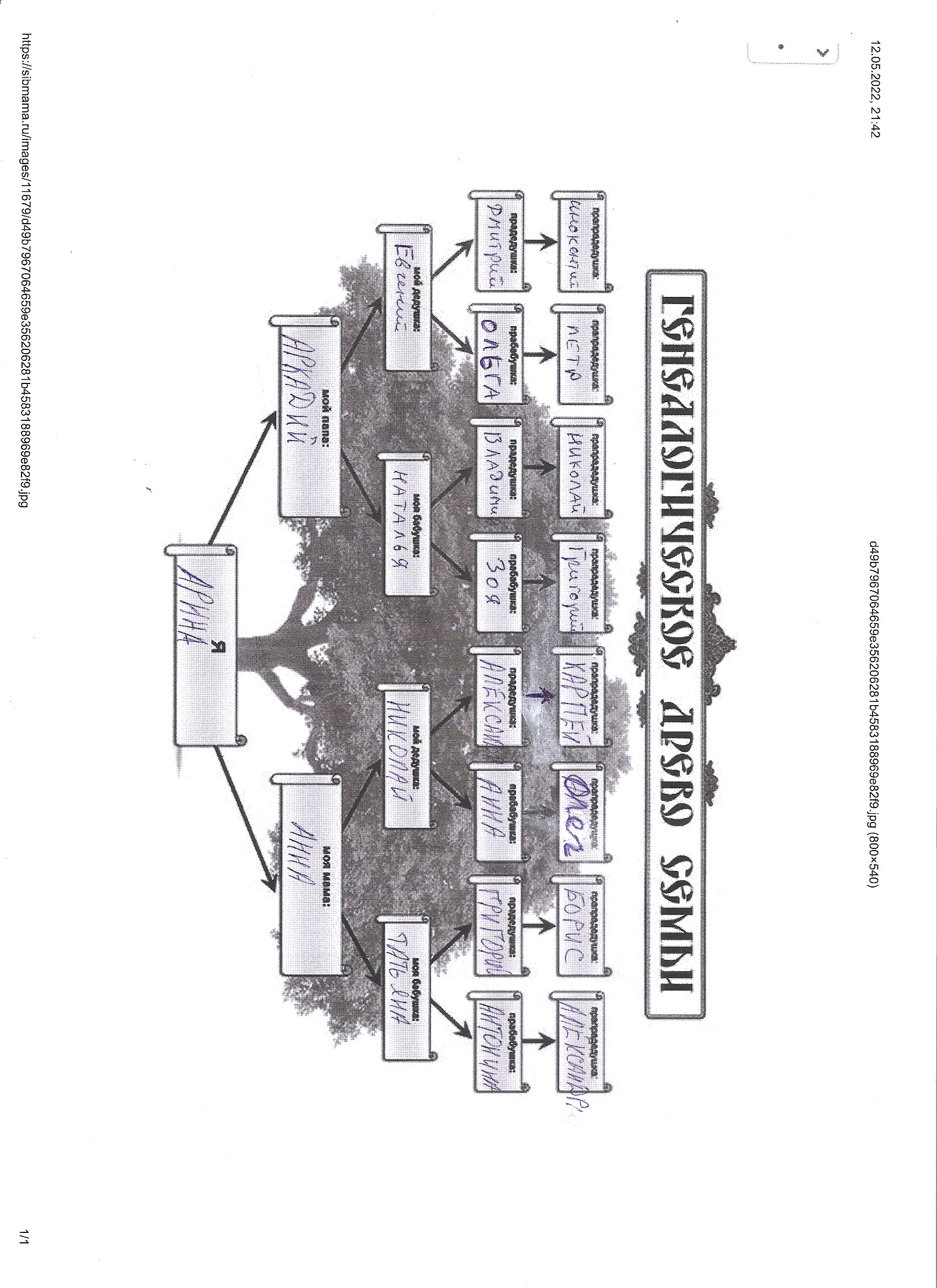 Родословная моей семьи ( для младших школьников)