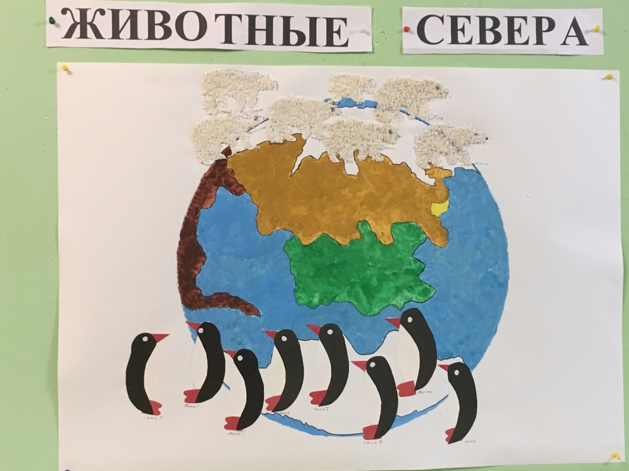 ″Животные Севера″